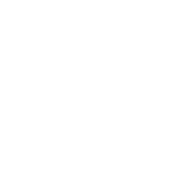 meanderingsleep-com.pages.dev favicon